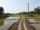 ขายที่ดิน - ที่นา 3-3-22.1 ไร่ (ถนนสาธารณะไฟฟ้าและประปา ห่างเทศบาล 1 กิโล)