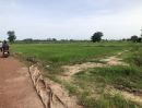 ขายที่ดิน - ขายที่ดิน 14 ไร่บ้านบอนแดงหมู่ 5 ติดคลองชลประทานเขตเทศบาลพันเสา