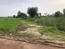 ขายที่ดิน - ขายที่ดิน 14 ไร่บ้านบอนแดงหมู่ 5 ติดคลองชลประทานเขตเทศบาลพันเสา