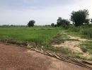 ขายที่ดิน - ขายที่ดิน 14 ไร่บ้านบอนแดงหมู่ 5 ติดคลองชลประทานเขตเทศบาลพันเสา