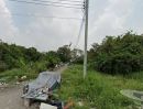 ขายที่ดิน - ขายที่ดินถนนติวานนท์ บางพูด เข้าซอย เนื้อที่ 217 ตรว อ.ปากเกร็ด จ.นนทบุรี ใกล้คลองบางพัง อู่ช่างจอนห์ ตู้ซิ่ง J&T สาขาบางพูด