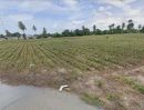 ขายที่ดิน - ขายที่ดิน ถ.เลี่ยงเมืองชะอำ-ปราณบุรี ต.สามพระยา อ.ชะอำ เพชรบุรี ห่างจากถนนเพชรเกษม-บายพาส 350 เมตร เนื้อที่ 9 -2 - 98 ไร่ ราคา 10.8 ลบ.*