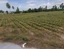 ขายที่ดิน - ขายที่ดิน ถ.เลี่ยงเมืองชะอำ-ปราณบุรี ต.สามพระยา อ.ชะอำ เพชรบุรี ห่างจากถนนเพชรเกษม-บายพาส 350 เมตร เนื้อที่ 9 -2 - 98 ไร่ ราคา 10.8 ลบ.*