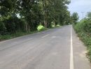 ขายที่ดิน - ขายที่ดิน 6 ไร่ ติดถนนลาดยางกว้าง 10 เมตร บ้านดงห่างจากถนนเส้นเอเชีย 13 กิโลเมตร อำเภอบางระกำ จังหวัดพิษณุโลก