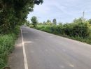 ขายที่ดิน - ขายที่ดิน 6 ไร่ ติดถนนลาดยางกว้าง 10 เมตร บ้านดงห่างจากถนนเส้นเอเชีย 13 กิโลเมตร อำเภอบางระกำ จังหวัดพิษณุโลก