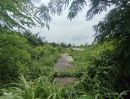 ขายที่ดิน - ขายที่ดิน9ไร่กว่า วิวแม่น้ำบางปะกง ต.หัวไทร อ.บางคล้า เหมาะลงทุน-พัฒนาธุรกิจเชิงนิเวศหลายรูปแบบ