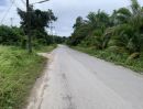 ขายที่ดิน - ขายที่ทำเลดีดินสวย เกาะกลาง ลันตา กระบี่