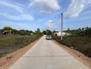 ขายที่ดิน - ที่ดินติดถนน! เดินทางสะดวก เหมาะสร้างบ้าน ทำธุรกิจ หรือซื้อเก็บลงทุน