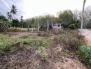 ขายที่ดิน - ที่ดินติดถนน! เดินทางสะดวก เหมาะสร้างบ้าน ทำธุรกิจ หรือซื้อเก็บลงทุน