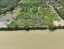 ขายที่ดิน - ขายที่ดิน ติดแม่น้ำบางปะกง ตรงข้ามวัดจุกเฌอ วิวสวย เหมาะสร้างรีสอร์ท และร้านอาหาร