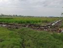 ขายที่ดิน - ขายที่ดินลำลูกกา 20 ไร่ ติดถนน เหมาะทำจัดสรร ที่ดินลำลูกกา ปทุมธานี