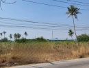 ขายที่ดิน - ขายที่ดินเปล่าแปลงสวย ทำเลดี เขตหนองขาม ศรีราชา ชลบุรี