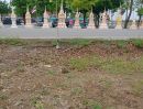 ขายที่ดิน - ขายที่ดิน หน้าวัดหนองกระทิง อู่ทอง สุพรรณบุรี