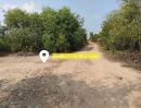 ขายที่ดิน - ประกาศขายที่ดิน อำเภอขางเลน จังหวัดนครปฐม