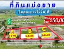 ขายที่ดิน - ขายที่ดินติดลาดยาง ต.ทุ่งท่าช้าง เริ่มต้น 2 ไร่ สระโบสถ์ ลพบุรี