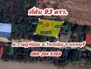 ขายที่ดิน - ขายที่ดิน 93 ตร.ว ราคาถูก ต.ราษฎร์นิยม อ.ไทรน้อย จ.นนทบุรี