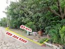 ขายที่ดิน - ขายที่ดิน 93 ตร.ว ราคาถูก ต.ราษฎร์นิยม อ.ไทรน้อย จ.นนทบุรี