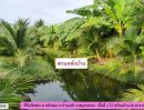ขายที่ดิน - ที่ดินจัดสรรพร้อมบ้าน 96 ตารางเมตร ในชุมชนทำการเกษตร