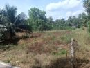 ขายที่ดิน - ที่ดินอัมพวา ที่ดินสมุทรสงคราม ที่ดินปลายโพงพาง 2 ไร่กว่า เข้าจากถนนใหญ่ถนนปากท่อสายเก่าเพียง 850 เมตร