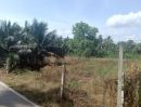ขายที่ดิน - ที่ดินอัมพวา ที่ดินสมุทรสงคราม ที่ดินปลายโพงพาง 2 ไร่กว่า เข้าจากถนนใหญ่ถนนปากท่อสายเก่าเพียง 850 เมตร