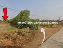 ขายที่ดิน - โอกาสสำหรับคนอยากมีที่ทำเกษตร ที่ดิน 12 ไร่ เมืองทุ่ง อ.สุวรรณภูมิ จ.ร้อยเอ็ด