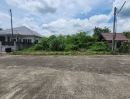 ขายที่ดิน - ขายที่ดินตำบลหนองผึ้งสารภีในโครงการหนองผึ้งติดถนนพร้อมโอน