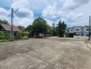 ขายที่ดิน - ขายที่ดินตำบลหนองผึ้งสารภีในโครงการหนองผึ้งติดถนนพร้อมโอน