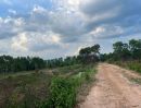 ขายที่ดิน - ขายที่ดินนนทรี 12 ไร่ คลองตัดผ่านที่ดิน ใกล้ถนนสุวรรณศร33-5กม. อ.กบินทร์บุรี ปราจีนบุรี