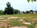 ขายที่ดิน - ที่ดินแปลงสวย เหมาะอยู่อาศัย ขนาด 2 ไร่เศษ อ.นางรอง บุรีรัมย์