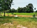 ขายที่ดิน - ที่ดินแปลงสวย เหมาะอยู่อาศัย ขนาด 2 ไร่เศษ อ.นางรอง บุรีรัมย์