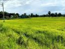 ขายที่ดิน - ที่นาติดถนนสายหลัก นางรอง-ปะคำ อ.นางรอง บุรีรัมย์