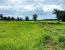 ขายที่ดิน - ที่นาติดถนนสายหลัก นางรอง-ปะคำ อ.นางรอง บุรีรัมย์