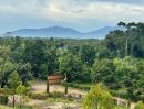 ขายที่ดิน - ขายสวนทุเรียน 11 ไร่ สวนทุเรียนขั้นบันไดพร้อมบ้านตากอากาศบนเขา พร้อมโฉนด วิวหลักล้าน