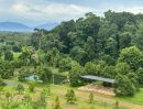 ขายที่ดิน - ขายสวนทุเรียน 11 ไร่ สวนทุเรียนขั้นบันไดพร้อมบ้านตากอากาศบนเขา พร้อมโฉนด วิวหลักล้าน