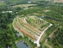 ขายที่ดิน - ขายสวนทุเรียน 11 ไร่ สวนทุเรียนขั้นบันไดพร้อมบ้านตากอากาศบนเขา พร้อมโฉนด วิวหลักล้าน