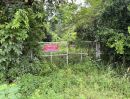 ขายที่ดิน - ขายที่ดิน 23 ไร่ ติดถนนเลียบคลองระพีพัฒน์ หนองเสือ ปทุมธานี