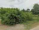 ขายที่ดิน - ขายที่ดินจัดสรรแล้ว 164 ตรว. หน้ากว้าง 20 เมตร ยาว 32 เมตร ด้านหน้าติดถนนหลัก ด้านข้างติดถนนซอย อ.สัตหีบ จ.ชลบุรี