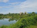 ขายที่ดิน - ขายที่ดิน 200 ไร่ ใกล้ทะเลและแลนด์บริจด์ ใกล้ถนนเพชรเกษม กะเปอร์ ระนอง ราคา/ขนาดเจรจากับเจ้าของได้เองโดยตรง