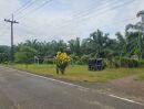 ขายที่ดิน - ขายที่ดิน 200 ไร่ ใกล้ทะเลและแลนด์บริจด์ ใกล้ถนนเพชรเกษม กะเปอร์ ระนอง ราคา/ขนาดเจรจากับเจ้าของได้เองโดยตรง