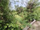 ขายที่ดิน - ขายที่ดิน 3-3-04 ไร่ บรรยากาศดี รมรื่นย์ แบบบ้านสวน เหมาะสำหรับการพักผ่อนในวันหยุดสุดสัปดาห์อย่างเงียบสงบ