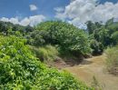 ขายที่ดิน - ขายที่ดินตำบลเชียงดาววิวดอยหลวงติดลำธารน้ำไหลผ่าน