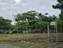 ขายที่ดิน - ที่ดินถมแล้ว อ่อนนุช51 สวนหลวง เหมาะทำที่ิยู่อาศัยหรือapartment บรรยกาศดี เดินทางสะดวก