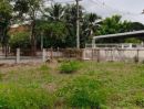 ขายที่ดิน - ขายที่ดินในหมู่บ้านธนาวัลย์รวมโชคติดถนนทำเลดีหายากพร้อมโอน