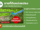 ขายที่ดิน - ที่ดินแบ่งแปลง วิวเขาใหญ่ หมูสี ปากช่อง ทำเลทองสำหรับบ้านพักตากอากาศใกล้กรุงเทพฯ