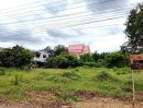 ขายที่ดิน - ขายด่วน! ที่ดิน 2 ไร่ ติดวัดหลวงพ่อพัฒน์