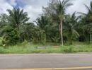 ขายที่ดิน - ที่สวย 1 ไร่ ปะทิว ติดลาดยางหลักไปสนามบิน ใกล้ทะเลเพียง 1.5 กิโลเมตร