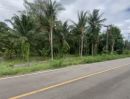 ขายที่ดิน - ที่สวย 1 ไร่ ปะทิว ติดลาดยางหลักไปสนามบิน ใกล้ทะเลเพียง 1.5 กิโลเมตร