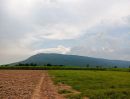 ขายที่ดิน - ขายที่ดินทำเลทอง วิวภูเขาสวยมาก อากาศดี ต้องการเจ้าของคนใหม่ดูแล