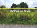 ขายที่ดิน - Land For Sale ที่ดินแบ่งขาย เขาใหญ่ ที่ดินจัดสรรโครงการอารีย์ เนื้อที่ 200 ตร.วา แหล่งโอโซนอันดับต้นๆ ของไทย