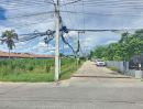 ขายที่ดิน - ขายที่ดินบางละมุง ตะเคียนเตี้ย-โรงโป๊ะ ติดถนน ใกล้หมู่บ้านกลางสวน ชลบุรี